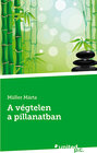 Buchcover A végtelen a pillanatban