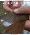 Buchcover Zugunruhe