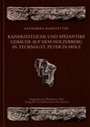 Buchcover Kaiserzeitliche und spätantike Gebäude auf dem Holzerberg in Teurnia / St. Peter in Holz