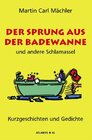 Buchcover Der Sprung aus der Badewanne und andere Schlamassel