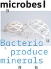 Buchcover microbes I: bacteria produce minerals/microbes II: A day made of algae