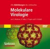 Buchcover Molekulare Virologie