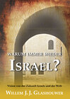 Buchcover Warum immer wieder Israel?
