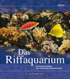 Buchcover Das Riffaquarium