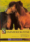Buchcover Sommerekzem