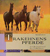 Buchcover Trakehnens Pferde