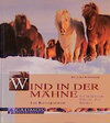 Buchcover Wind in der Mähne