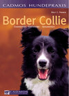 Buchcover Border Collie