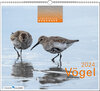 Buchcover Lebensraum Bodensee - Vögel 2024