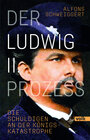 Buchcover Der Ludwig-II.-Prozess