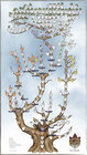 Buchcover Stammbaum der Wittelsbacher