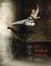 Buchcover Die Shaolin-Mönche