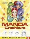 Buchcover Manga Crashkurs