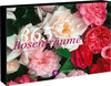 Buchcover 365 Rosenträume