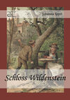 Buchcover Schloss Wildenstein