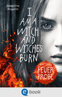 Buchcover Everflame 1. Feuerprobe