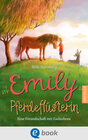 Buchcover Emily Pferdeflüsterin