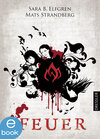 Buchcover Feuer