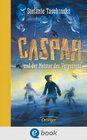 Buchcover Caspar und der Meister des Vergessens