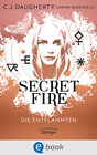 Buchcover Secret Fire 1. Die Entflammten