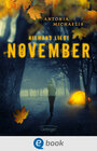 Buchcover Niemand liebt November