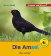 Buchcover Die Amsel / Sonderausgabe mit Silbenhilfe
