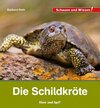 Buchcover Die Schildkröte