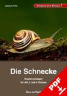 Buchcover Die Schnecke – Kopiervorlagen für die 2. bis 4. Klasse