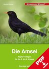 Buchcover Die Amsel – Kopiervorlagen für die 2. bis 4. Klasse