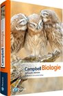 Buchcover Campbell Biologie Gymnasiale Oberstufe / Pearson Studium - Biologie Schule