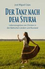 Buchcover Der Tanz nach dem Sturm