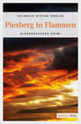 Buchcover Piesberg in Flammen