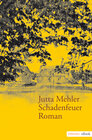 Buchcover Schadenfeuer