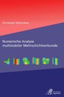 Buchcover Numerische Analyse multistabiler Mehrschichtverbunde