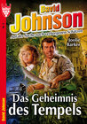 Buchcover David Johnson 3 - Abenteuerroman