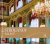 Buchcover The Stroganov Palace