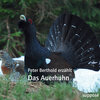 Buchcover Das Auerhuhn (Download)
