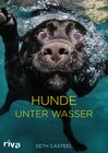 Buchcover Hunde unter Wasser