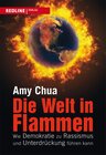 Buchcover Die Welt in Flammen