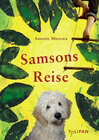 Buchcover Samsons Reise
