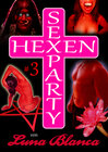 Buchcover Hexen Sexparty 3: Hexen im Dorf!