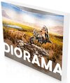 Buchcover Diorama – Erfindung einer Illusion