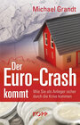 Buchcover Der Euro-Crash kommt