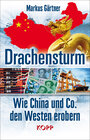 Buchcover Drachensturm