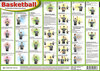 Buchcover Basketball - Schiedsrichterzeichen
