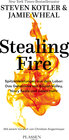 Buchcover Stealing Fire