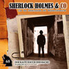 Buchcover Sherlock Holmes und Co. 68: Der kalte Hauch der Rache
