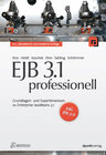 Buchcover EJB 3.1 professionell (iX Edition)