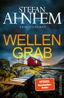 Buchcover Wellengrab (Ein Fabian-Risk-Krimi 7)