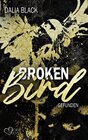 Buchcover Broken Bird: Gefunden